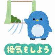 ヒメ日記 2024/11/09 10:34 投稿 はな 北九州人妻倶楽部（三十路、四十路、五十路）