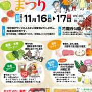 ヒメ日記 2024/11/16 13:05 投稿 はな 北九州人妻倶楽部（三十路、四十路、五十路）