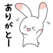 ヒメ日記 2024/12/14 06:30 投稿 はな 北九州人妻倶楽部（三十路、四十路、五十路）