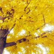 ヒメ日記 2024/12/15 11:05 投稿 はな 北九州人妻倶楽部（三十路、四十路、五十路）