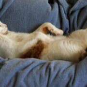 ヒメ日記 2024/12/22 00:03 投稿 はな 北九州人妻倶楽部（三十路、四十路、五十路）