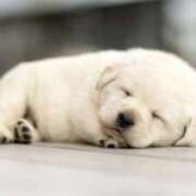 ヒメ日記 2025/01/09 00:03 投稿 はな 北九州人妻倶楽部（三十路、四十路、五十路）