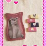 ヒメ日記 2025/01/15 18:17 投稿 はな 北九州人妻倶楽部（三十路、四十路、五十路）