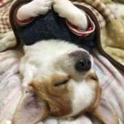 ヒメ日記 2025/01/16 00:04 投稿 はな 北九州人妻倶楽部（三十路、四十路、五十路）