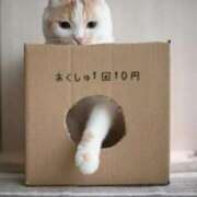 ヒメ日記 2025/01/16 11:05 投稿 はな 北九州人妻倶楽部（三十路、四十路、五十路）