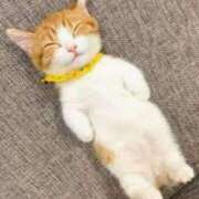 ヒメ日記 2025/01/23 00:03 投稿 はな 北九州人妻倶楽部（三十路、四十路、五十路）