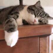 ヒメ日記 2025/01/23 15:18 投稿 はな 北九州人妻倶楽部（三十路、四十路、五十路）