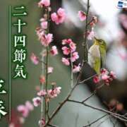 ヒメ日記 2025/02/03 11:03 投稿 はな 北九州人妻倶楽部（三十路、四十路、五十路）