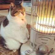 ヒメ日記 2025/02/05 10:42 投稿 はな 北九州人妻倶楽部（三十路、四十路、五十路）