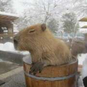 ヒメ日記 2025/02/06 11:03 投稿 はな 北九州人妻倶楽部（三十路、四十路、五十路）