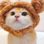 ヒメ日記 2025/02/08 11:04 投稿 はな 北九州人妻倶楽部（三十路、四十路、五十路）