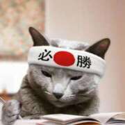 ヒメ日記 2025/02/10 11:02 投稿 はな 北九州人妻倶楽部（三十路、四十路、五十路）