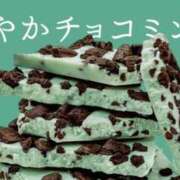 ヒメ日記 2025/02/19 11:03 投稿 はな 北九州人妻倶楽部（三十路、四十路、五十路）