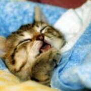 ヒメ日記 2025/02/21 00:03 投稿 はな 北九州人妻倶楽部（三十路、四十路、五十路）