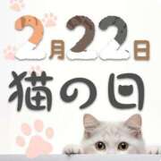 ヒメ日記 2025/02/22 11:03 投稿 はな 北九州人妻倶楽部（三十路、四十路、五十路）