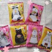 ヒメ日記 2025/03/03 15:06 投稿 はな 北九州人妻倶楽部（三十路、四十路、五十路）