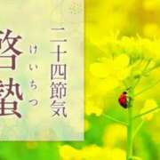 ヒメ日記 2025/03/05 11:04 投稿 はな 北九州人妻倶楽部（三十路、四十路、五十路）