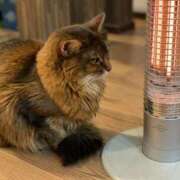 ヒメ日記 2025/03/15 11:03 投稿 はな 北九州人妻倶楽部（三十路、四十路、五十路）