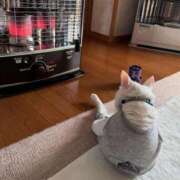 ヒメ日記 2025/03/17 11:05 投稿 はな 北九州人妻倶楽部（三十路、四十路、五十路）