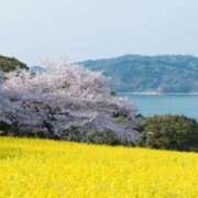 ヒメ日記 2025/04/02 17:04 投稿 はな 北九州人妻倶楽部（三十路、四十路、五十路）