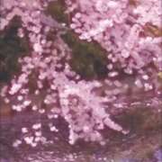 ヒメ日記 2025/04/02 18:37 投稿 はな 北九州人妻倶楽部（三十路、四十路、五十路）