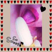 ヒメ日記 2025/04/04 20:07 投稿 はな 北九州人妻倶楽部（三十路、四十路、五十路）