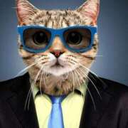 ヒメ日記 2025/04/05 12:31 投稿 はな 北九州人妻倶楽部（三十路、四十路、五十路）