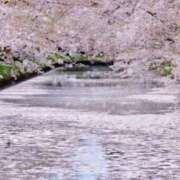 ヒメ日記 2025/04/08 11:03 投稿 はな 北九州人妻倶楽部（三十路、四十路、五十路）