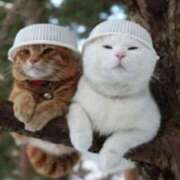 ヒメ日記 2025/04/11 11:01 投稿 はな 北九州人妻倶楽部（三十路、四十路、五十路）