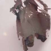 ヒメ日記 2025/04/12 19:31 投稿 はな 北九州人妻倶楽部（三十路、四十路、五十路）