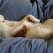 ヒメ日記 2025/04/17 00:05 投稿 はな 北九州人妻倶楽部（三十路、四十路、五十路）