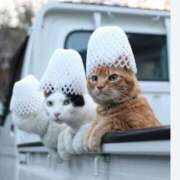 ヒメ日記 2025/04/19 11:05 投稿 はな 北九州人妻倶楽部（三十路、四十路、五十路）