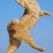 ヒメ日記 2025/04/20 07:33 投稿 はな 北九州人妻倶楽部（三十路、四十路、五十路）