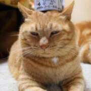 ヒメ日記 2025/04/21 11:05 投稿 はな 北九州人妻倶楽部（三十路、四十路、五十路）