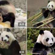 ヒメ日記 2025/04/25 11:05 投稿 はな 北九州人妻倶楽部（三十路、四十路、五十路）