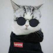 ヒメ日記 2025/04/26 07:35 投稿 はな 北九州人妻倶楽部（三十路、四十路、五十路）