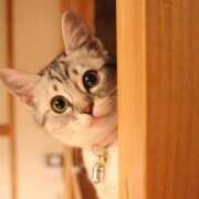 ヒメ日記 2025/04/27 10:06 投稿 はな 北九州人妻倶楽部（三十路、四十路、五十路）