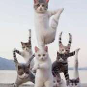 ヒメ日記 2025/04/30 11:05 投稿 はな 北九州人妻倶楽部（三十路、四十路、五十路）