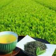 ヒメ日記 2025/05/02 11:03 投稿 はな 北九州人妻倶楽部（三十路、四十路、五十路）