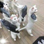 ヒメ日記 2025/05/03 08:02 投稿 はな 北九州人妻倶楽部（三十路、四十路、五十路）