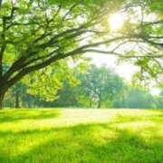 ヒメ日記 2025/05/04 08:04 投稿 はな 北九州人妻倶楽部（三十路、四十路、五十路）