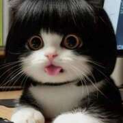 ヒメ日記 2025/05/08 11:02 投稿 はな 北九州人妻倶楽部（三十路、四十路、五十路）