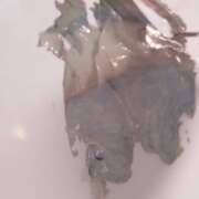 ヒメ日記 2025/05/09 16:06 投稿 はな 北九州人妻倶楽部（三十路、四十路、五十路）