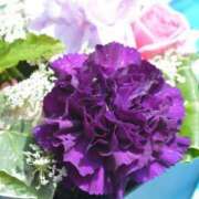 ヒメ日記 2025/05/11 08:03 投稿 はな 北九州人妻倶楽部（三十路、四十路、五十路）