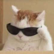 ヒメ日記 2025/05/13 10:06 投稿 はな 北九州人妻倶楽部（三十路、四十路、五十路）