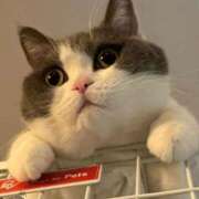 ヒメ日記 2025/05/17 10:03 投稿 はな 北九州人妻倶楽部（三十路、四十路、五十路）