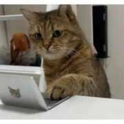 ヒメ日記 2025/05/19 10:03 投稿 はな 北九州人妻倶楽部（三十路、四十路、五十路）