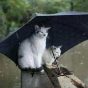 ヒメ日記 2025/05/21 10:09 投稿 はな 北九州人妻倶楽部（三十路、四十路、五十路）