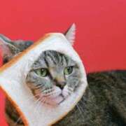 ヒメ日記 2025/05/25 06:02 投稿 はな 北九州人妻倶楽部（三十路、四十路、五十路）