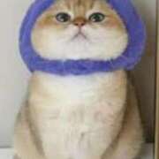 ヒメ日記 2025/05/27 10:08 投稿 はな 北九州人妻倶楽部（三十路、四十路、五十路）